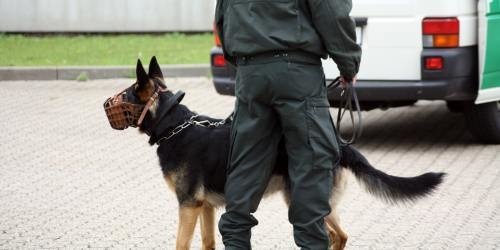 Polizeihund mit Maulkorb