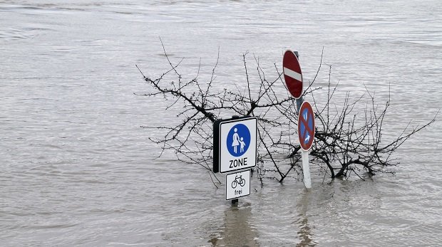 Ein Baum und Verkehrsschilder unter Wasser.