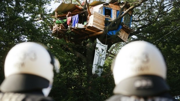 Polizisten stehen im Hambacher Forst am Fuße eines Baumes, in dem Aktivisten ein Baumhaus gebaut haben.