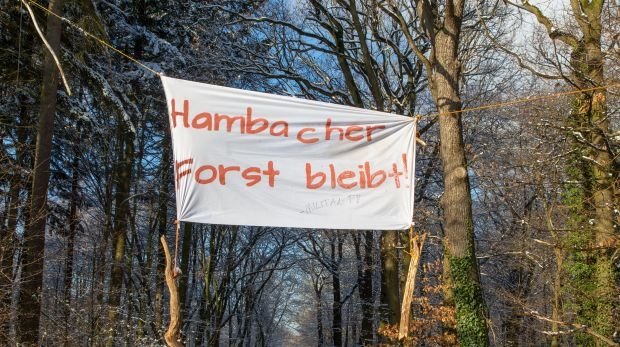 Protestbanner im Hambacher Forst