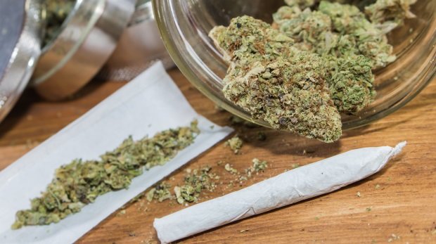 Getrocknete Cannabisblüten und Joint