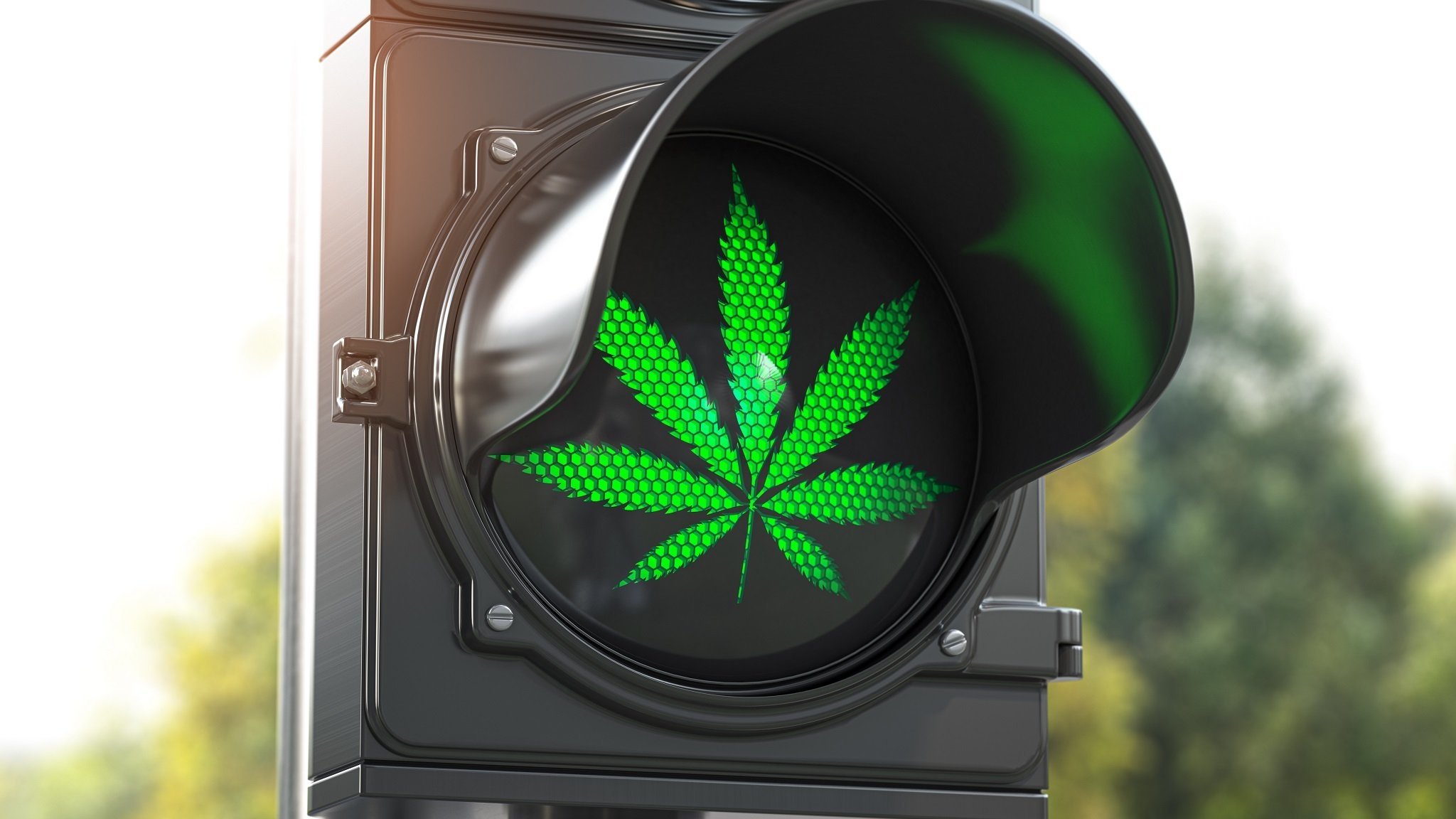 Grünes Licht für Cannabis im Straßenverkehr durch höheren THC-Grenzwert?