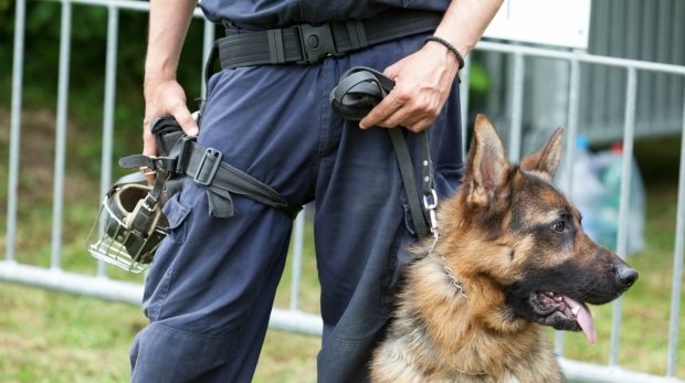 Polizist mit Spürhund (Symbolbild)