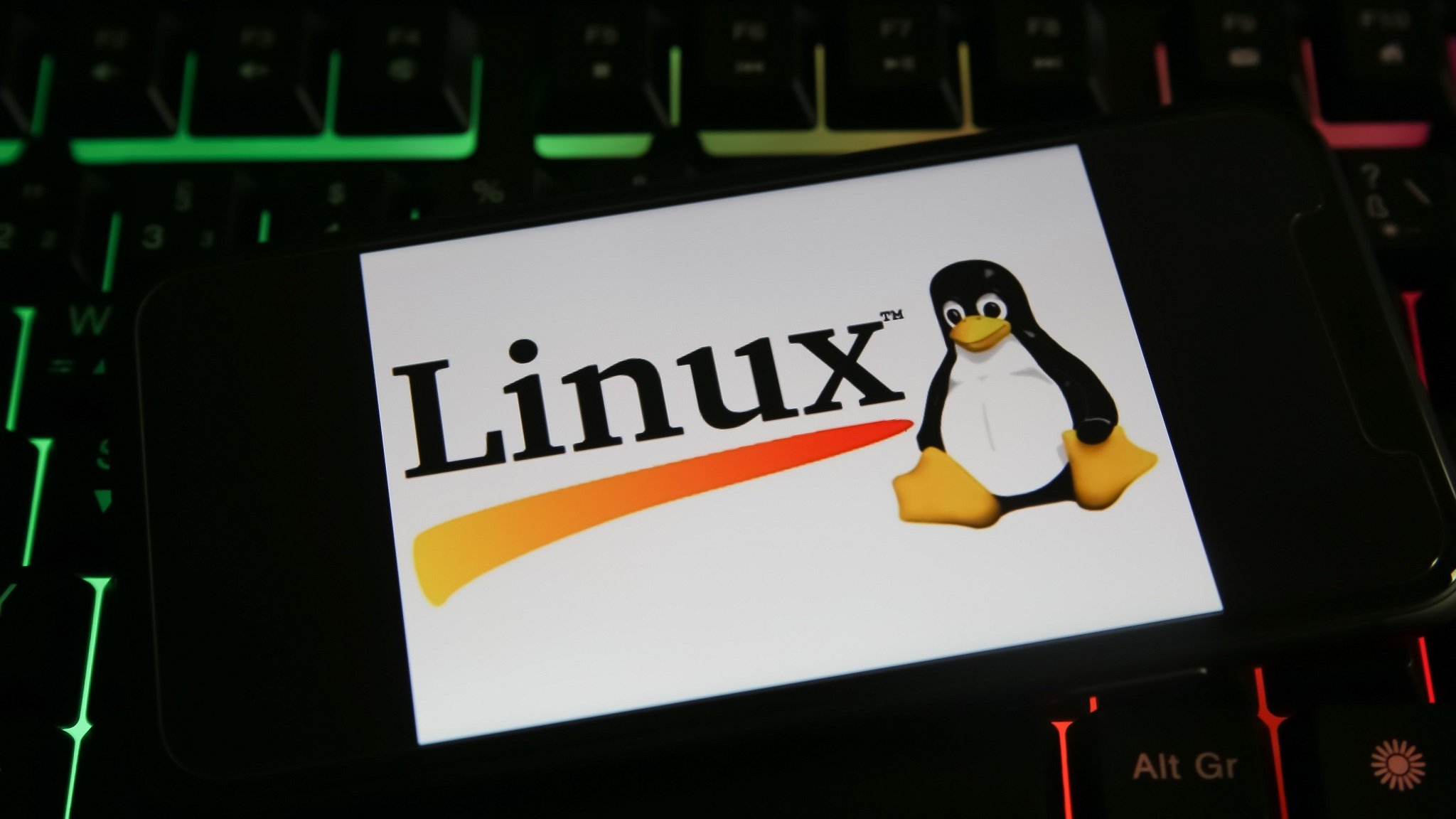 Der Linux-Pinguin auf einer Tastatur