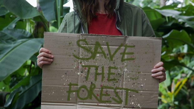 Eine Umweltaktivistin setzt sich für den Wald ein (Symbolbild)