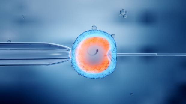 Künstliche Befruchtung einer Eizelle - In-vitro-Fertilisation
