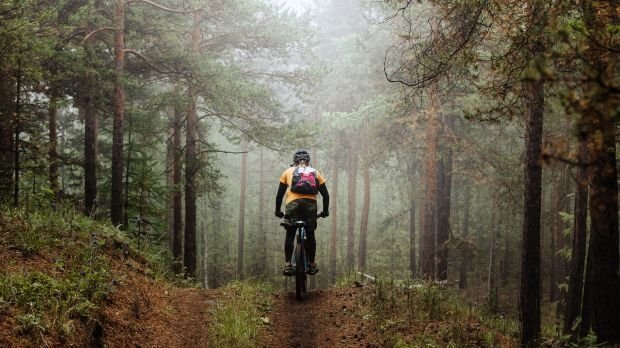 Mountainbiker im Wald (Symbolbild)