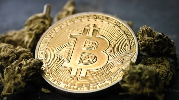 Bitcoin und Marijuana