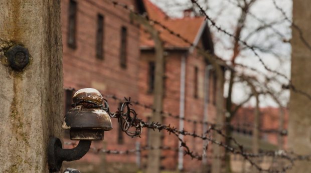 Das Konzentrationslager Auschwitz-Birkenau