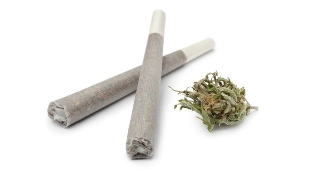 Joints und Cannabis