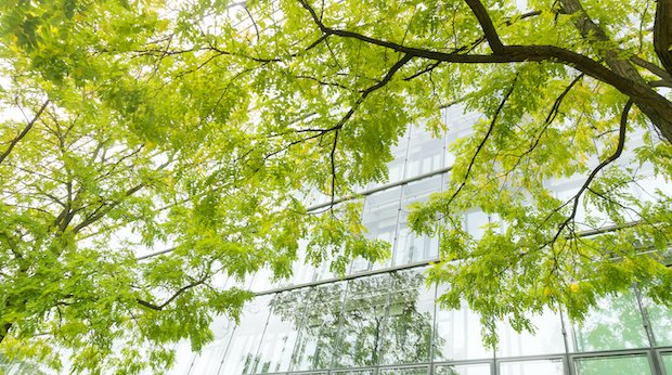 Eine mit Bäumen begrünte Glasfassade