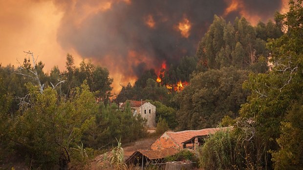 Waldbrand in Portugal vor Häusern