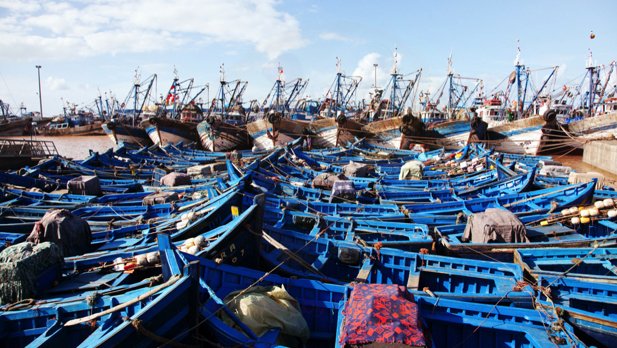 Fischreiboote in Marokko