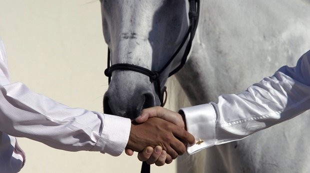 Handschlag vor einem Pferd