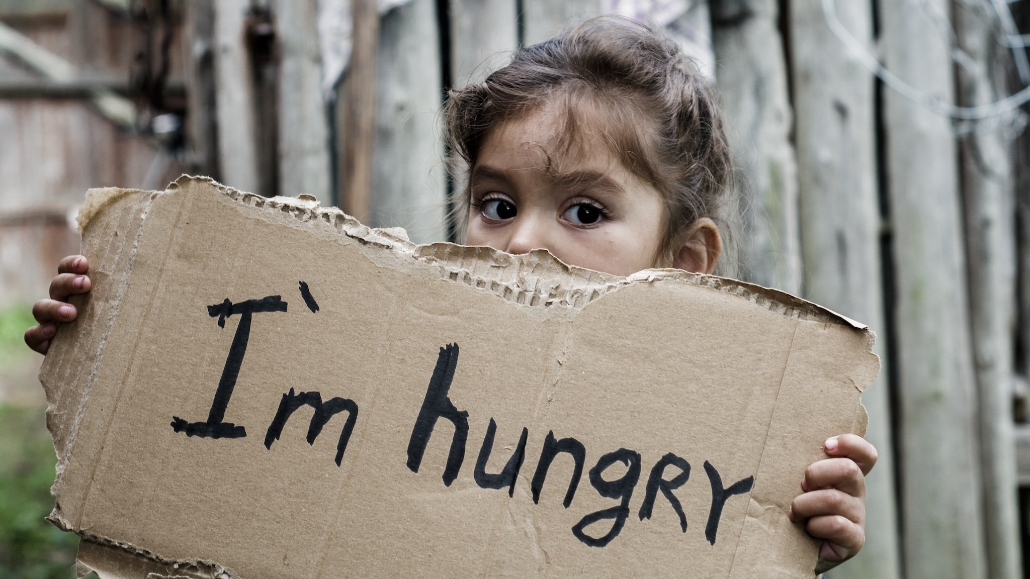 Mädchen hält Pappschild mit der Aufschrift "I'm hungry" in den Händen