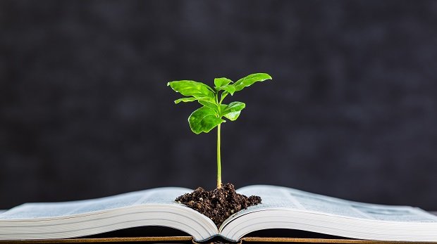 Pflanze wächst aus einem Buch heraus