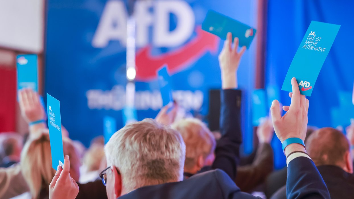 AfD-Parteitag