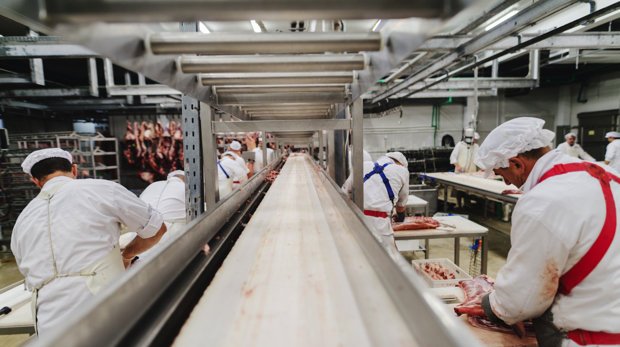Arbeiter in einer Fleischfabrik (Symbolbild)