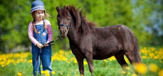 Mädchen mit Pony