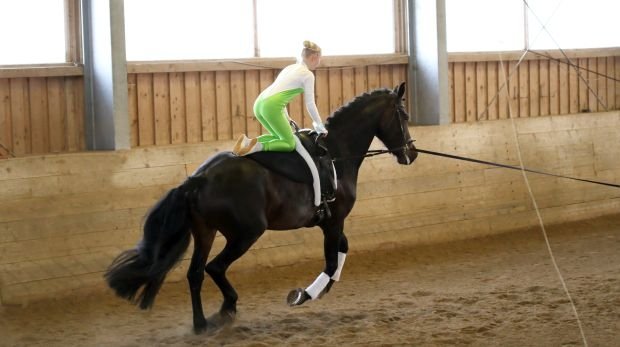 Eine Reiterin voltigiert auf ihrem Pferd (Symbolbild)