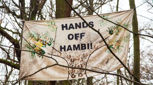 Plakat Hambacher Forst