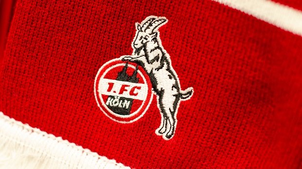 1. FC Köln Fan-Schal