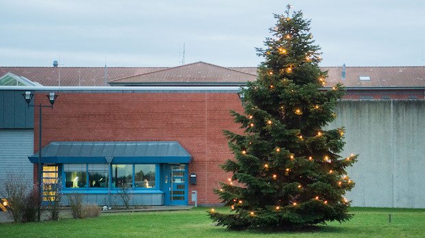 Ein Weihnachtsbaum steht vor der Justizvollzugsanstalt Sehnde.