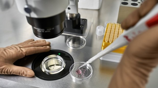 Künstliche Befruchtung in einem Labor