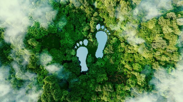 Zwei Fußabdrücke in einem Wald - Luftaufnahme von oben