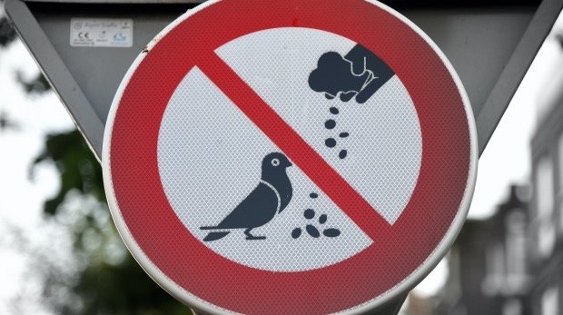 Taubenfüttern verboten - ein Schild
