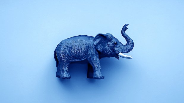 dunkelblauer Elefant vor hellblauem Hintergrund