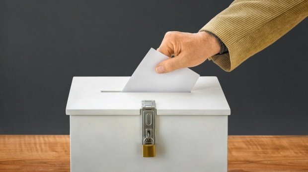 Abstimmung bei der AfD (Symbol)