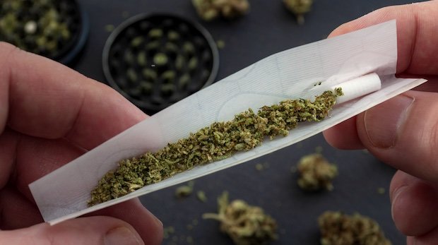 Cannabis wird zu einem Joint gerollt