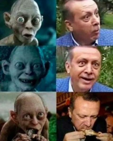 Internet-meme Erdogan
