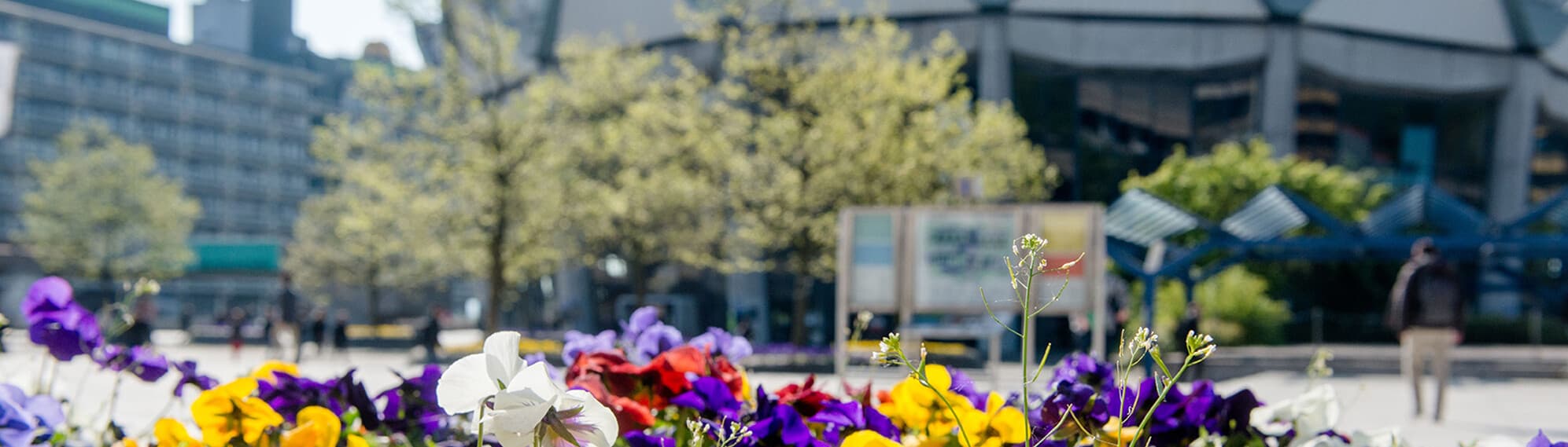 Bochum Audimax © RUB, Marquard